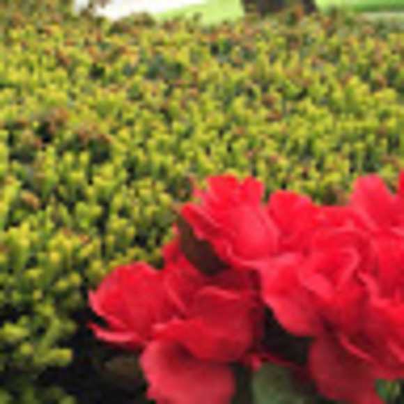 Meet your Posher, Katherine - Picture 1 of 1